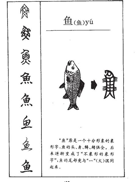 魚 意思|魚的意思，魚字的意思